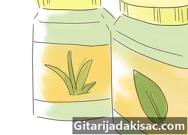 Bagaimana cara menjadi seorang herbalis