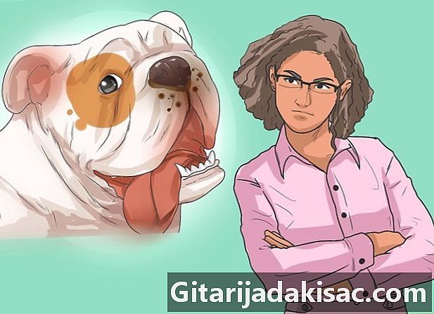 Paano mag-diagnose ng mga problema sa paghinga sa mga bulldog