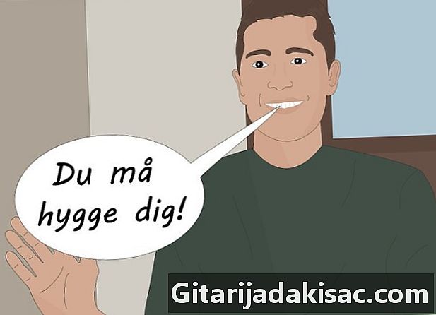 如何用丹麦语问好