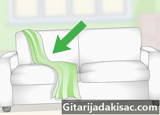 Làm thế nào để có một vỏ trang trí trên ghế sofa
