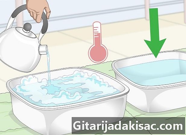 Kā dot vistu vannai