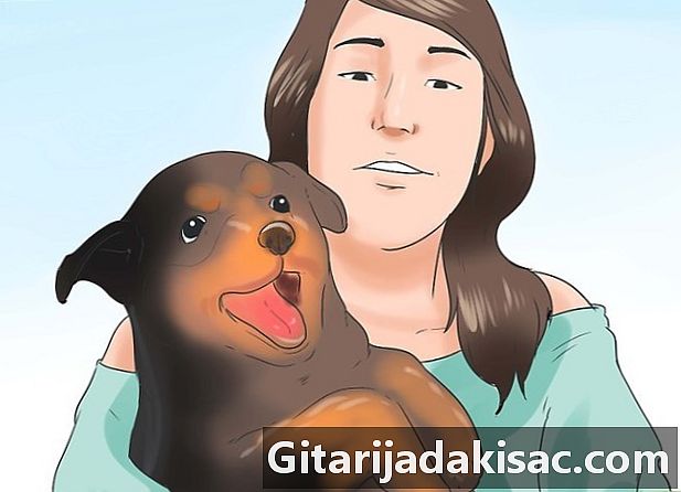 Hoe een puppy te trainen of te helpen stoppen met huilen wanneer hij opgesloten of buitengesloten is