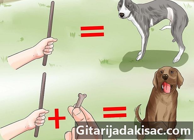 Come addestrare un cane a proteggere i polli