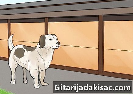 Kuidas vältida tema koera võõraste haukumist