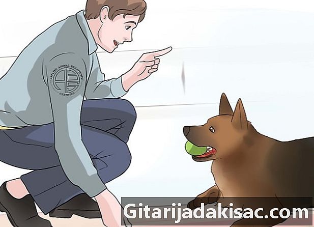 Hvordan stoppe hunden hans fra å bite folk