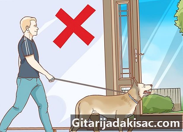 Làm thế nào để ngăn chó của mình bò trong nhà sau khi đi dạo