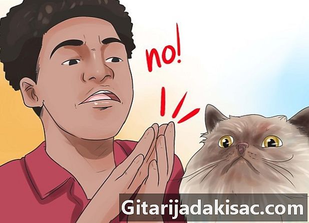 كيفية منع القط من الخدش والعض