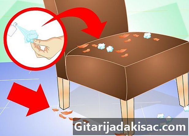 Bagaimana mencegah kucing menggaruk sofa kulit