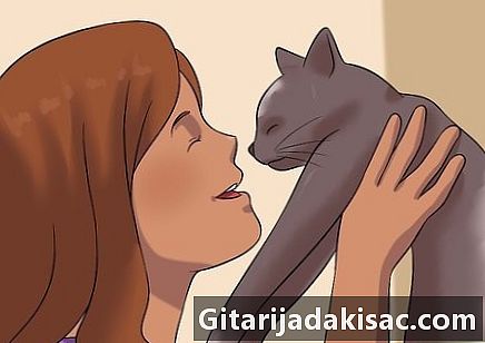 Hoe te voorkomen dat een kat aan je haar knabbelt