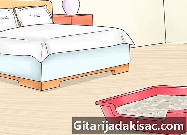 Wie verhindert man, dass eine Katze auf einem Bett schläft?