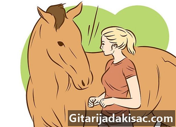 Come impedire a un cavallo di correre