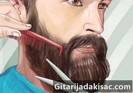 Com mantenir la barba