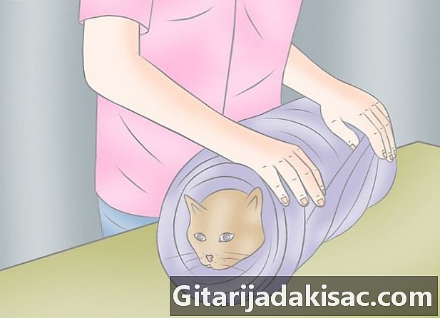 Как да увиете котка