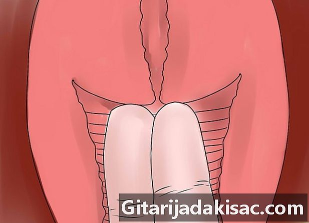 子宮頸部の位置を調べる方法