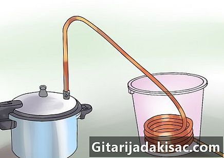 Hur man extraherar eteriska oljor