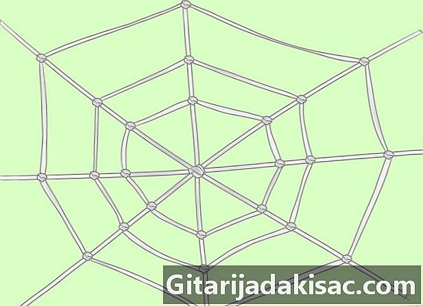 כיצד ליצור רשת עכביש