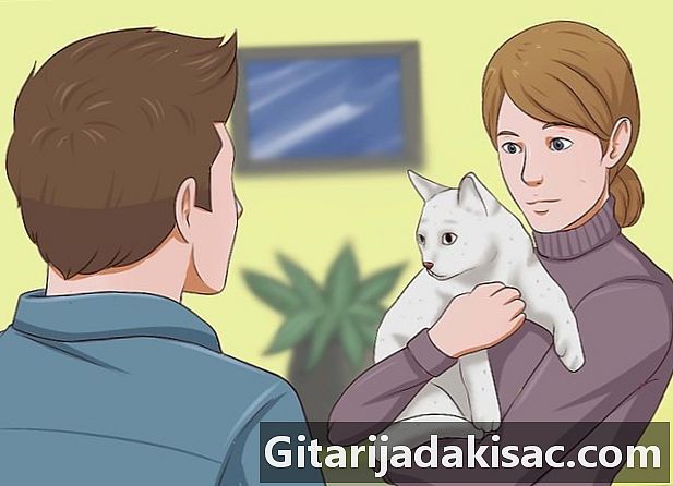 Kaip priversti katę nuryti tabletę