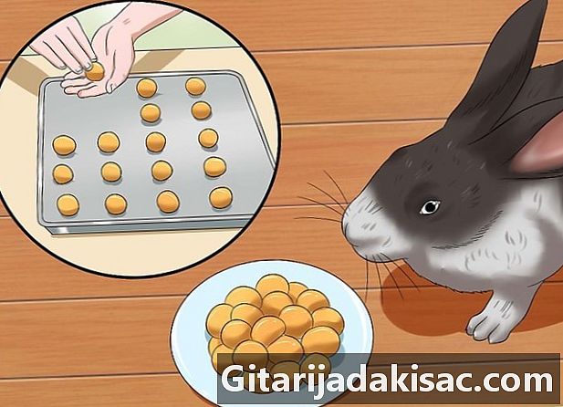Jak zrobić smakołyki dla królika