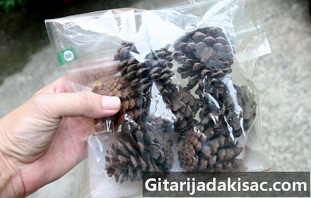 Paano gumawa ng mabangong pine cones