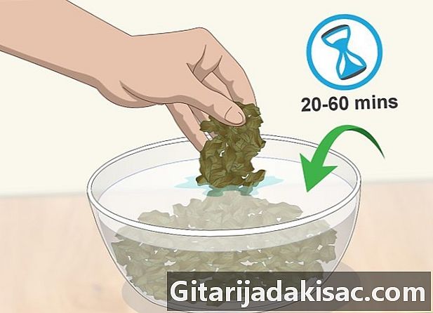 Jak zrobić masło marihuany