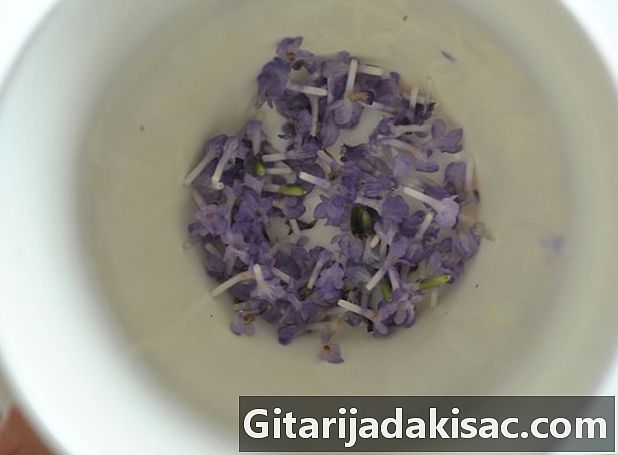 Cara membuat teh lavender