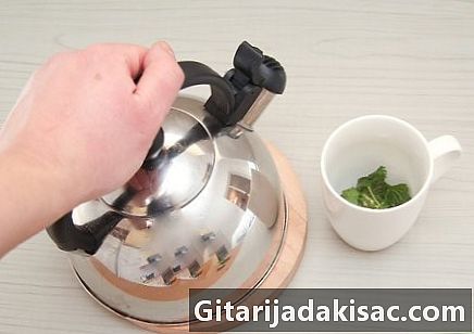 Como hacer té de menta
