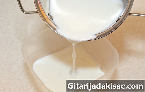 Wie man Joghurt macht
