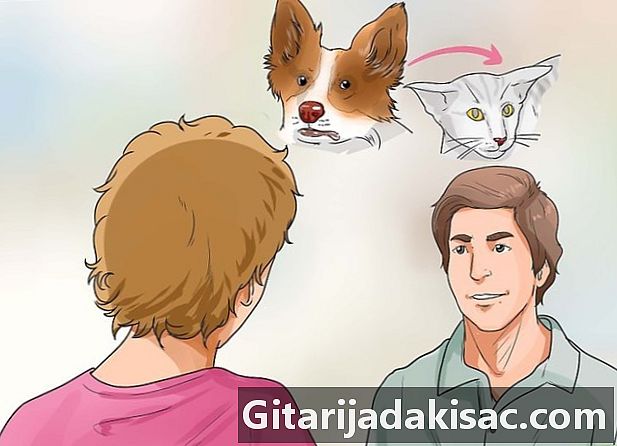 Hvordan lage en hund som en katt
