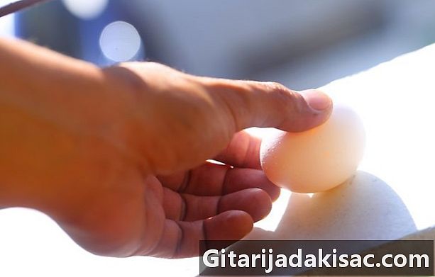 Kako ocvreti jajce na pločniku