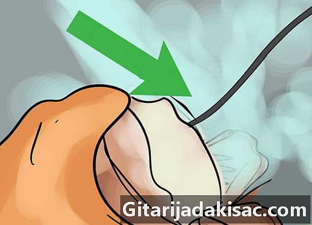 Kā grilēt omāra astes