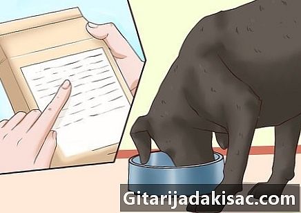 Cómo hacer crecer a un perro