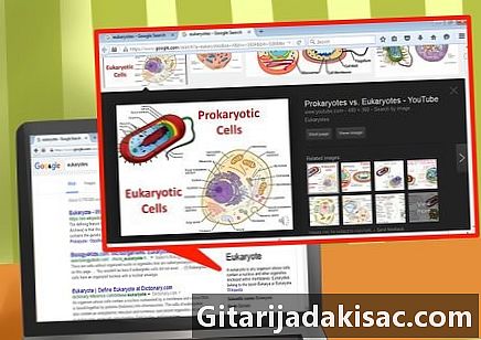 Eukaryotes اور prokaryotes کے درمیان فرق کیسے کریں