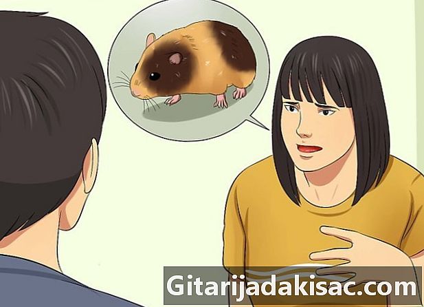 Cara meratap hamster Anda