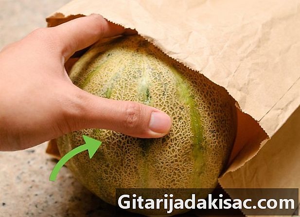 Cum să smulgi un pepene cantaloupe