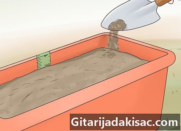 Hoe wortelen in pot te kweken