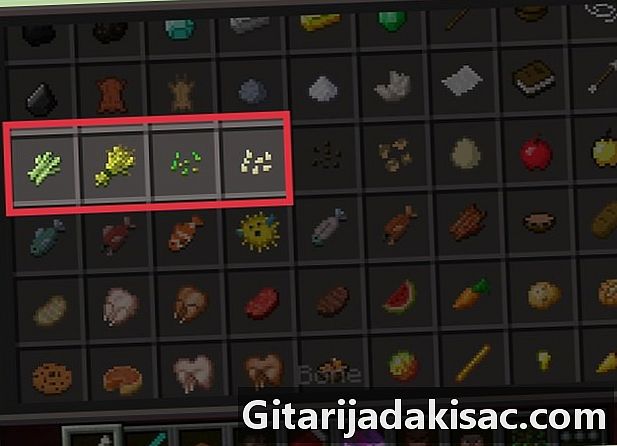Hogyan lehet magvakat termeszteni a Minecraft PE-ben