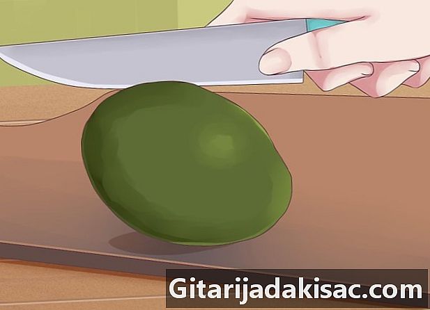 Como cultivar um abacateiro