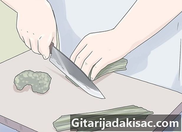 Як висушити цибулю