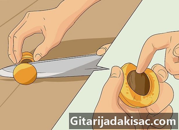 Hur man torkar aprikoser