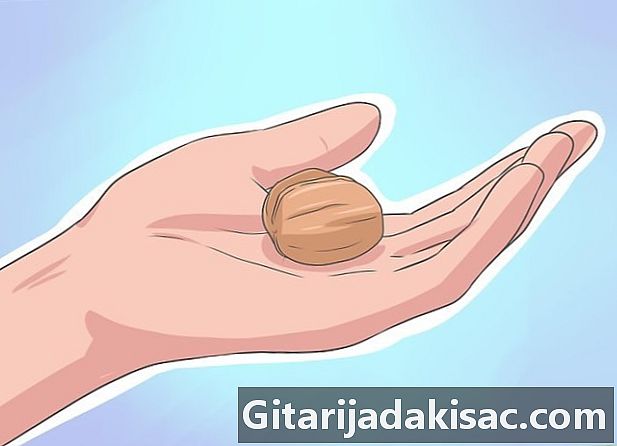 Hoe noten te drogen