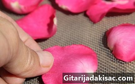 Как да изсушим розовите листенца