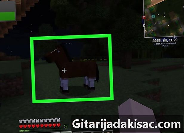 Cara membiakkan kuda di Minecraft