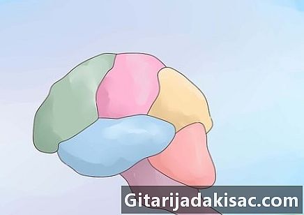 Як зробити мозок з глини