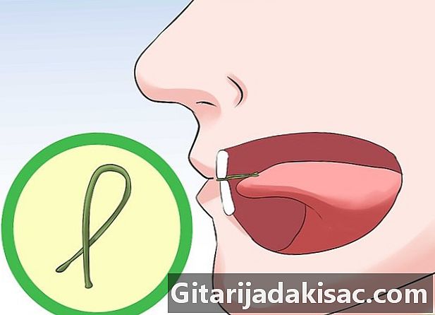 Come fare un inchino a una coda di ciliegio con la lingua