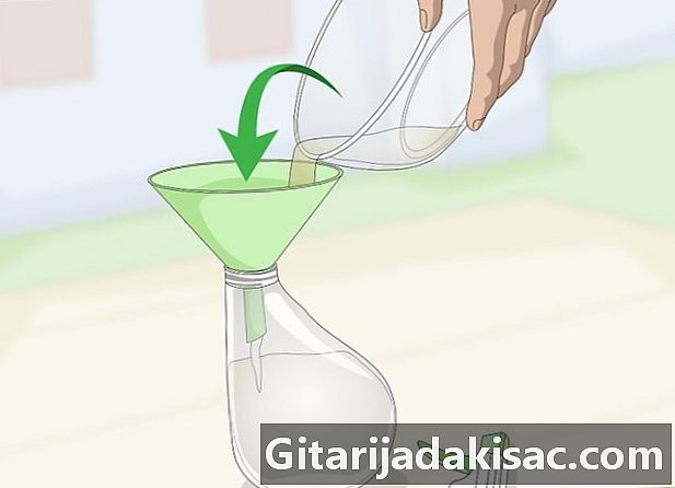 Hvordan lage en hvitløksspray til hagen
