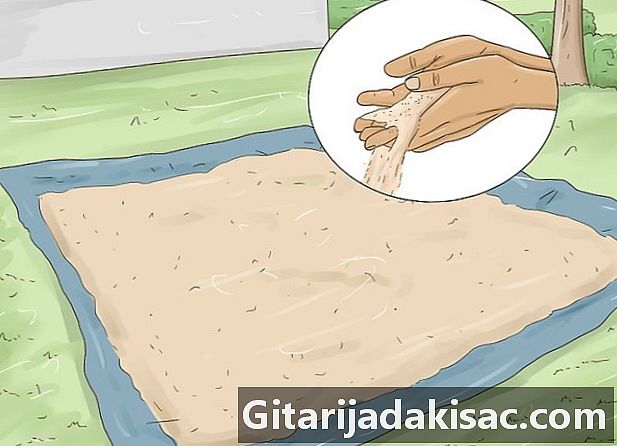 Cum să faci plajă