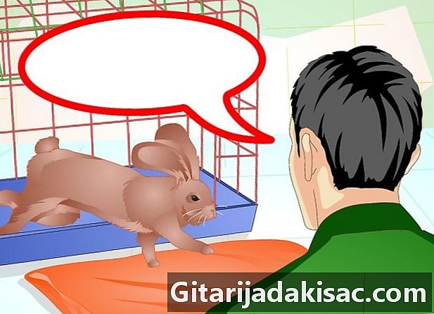 Kako dovesti zeca do vas kad otvorite kavez