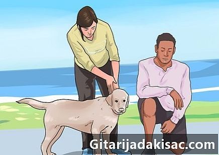 Ako získať dôveru psa