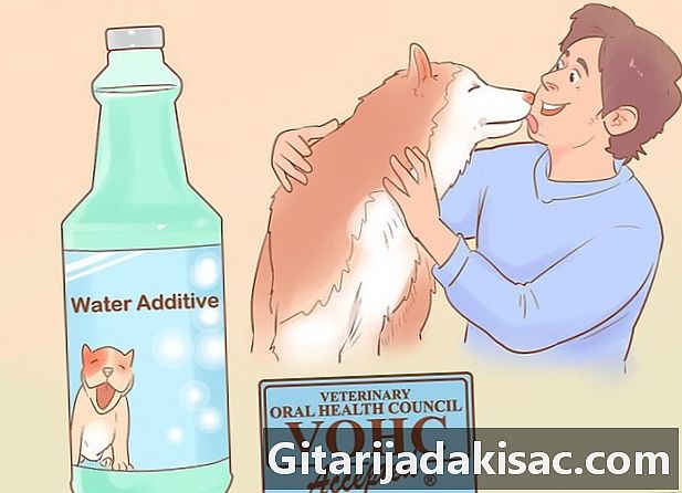 Làm thế nào để giữ hơi thở của con chó tươi của mình