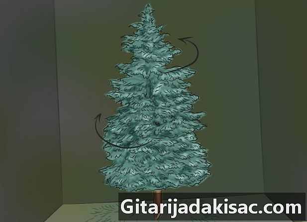 Kako namestiti božično drevo